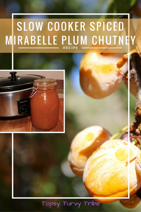 slow-cooker-mirabelle-spiced-plum-chutney
