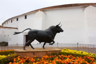 Bull, Plaza de Toros