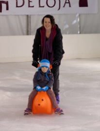 ice-skating-seal