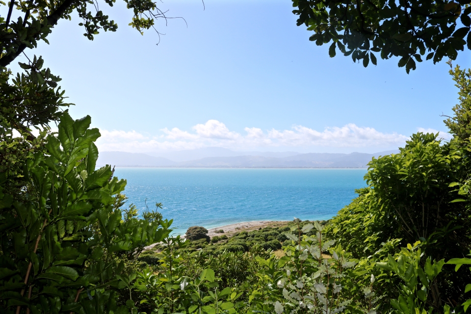 A view back to the North Island from Kapiti Island, New Zealand, Topsyturvytribe